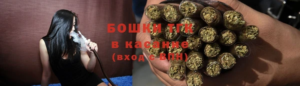 шишки Алексин
