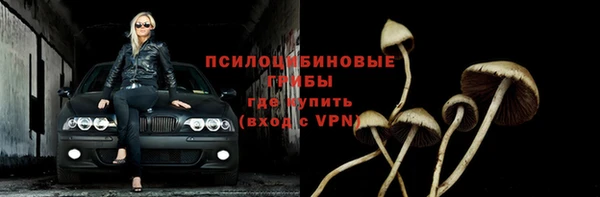 ГАЛЛЮЦИНОГЕННЫЕ ГРИБЫ Алексеевка