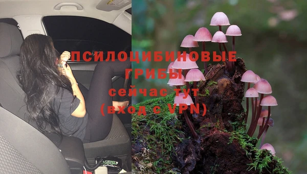 каннабис Арсеньев