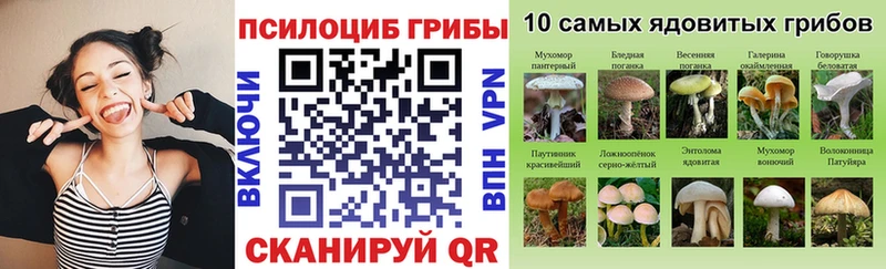 Псилоцибиновые грибы мухоморы  Зуевка 